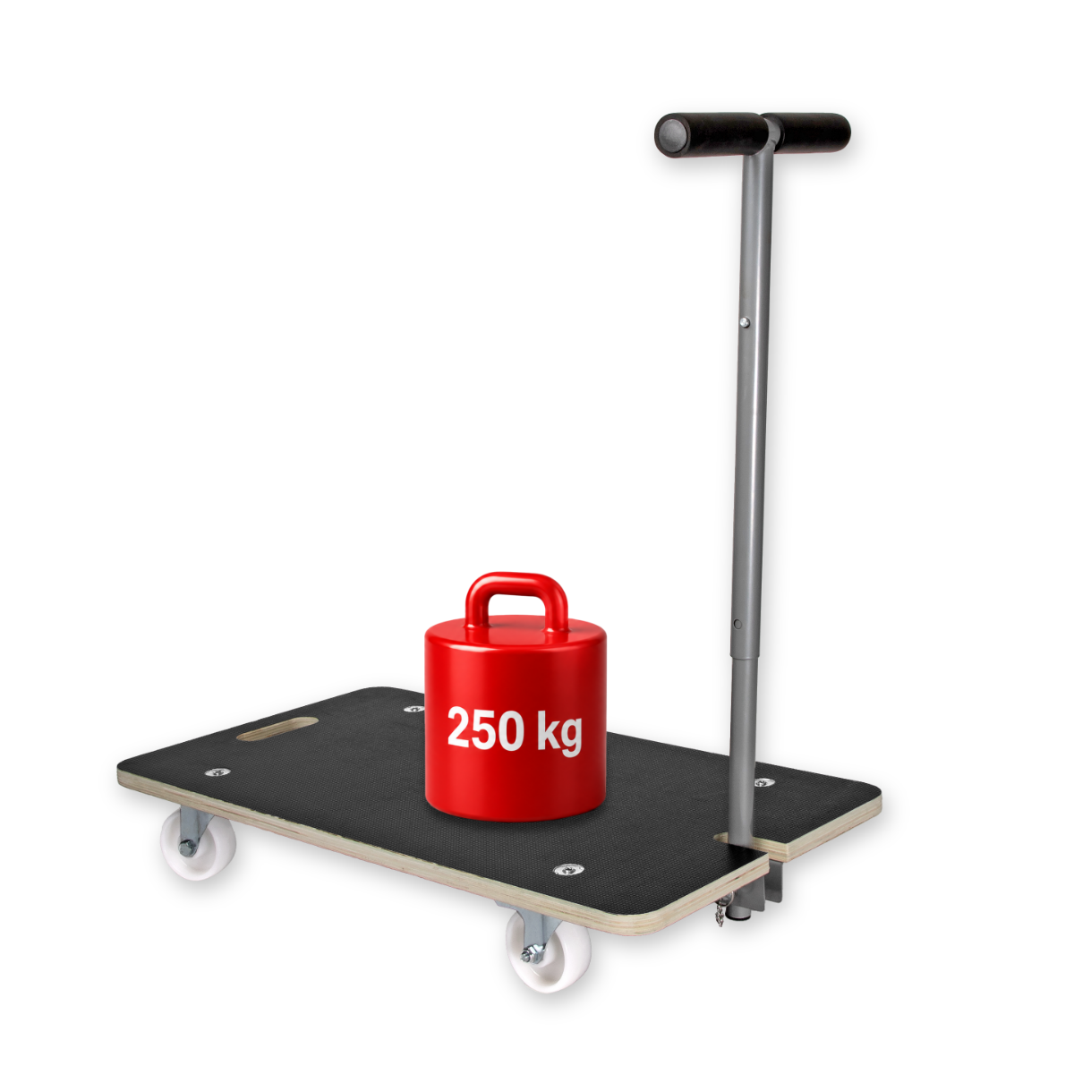 Profi Transporthilfe