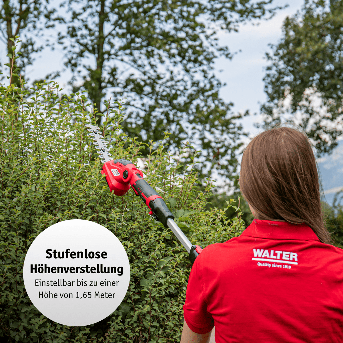 WALTER Li-Ion Akku-Heckenschere/Grasschere 12 V