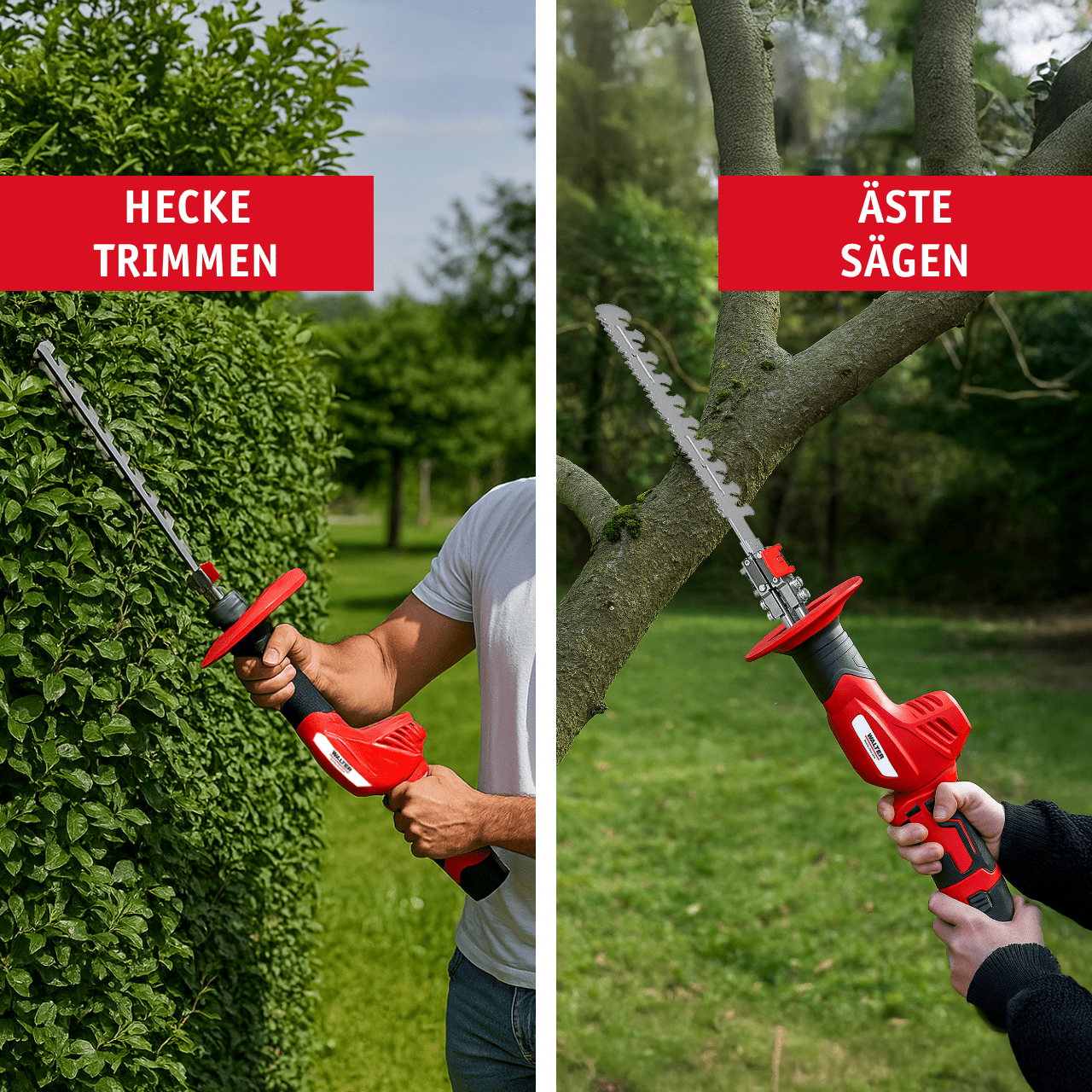 WALTER 2 - in - 1 Heckenscheren / Säge