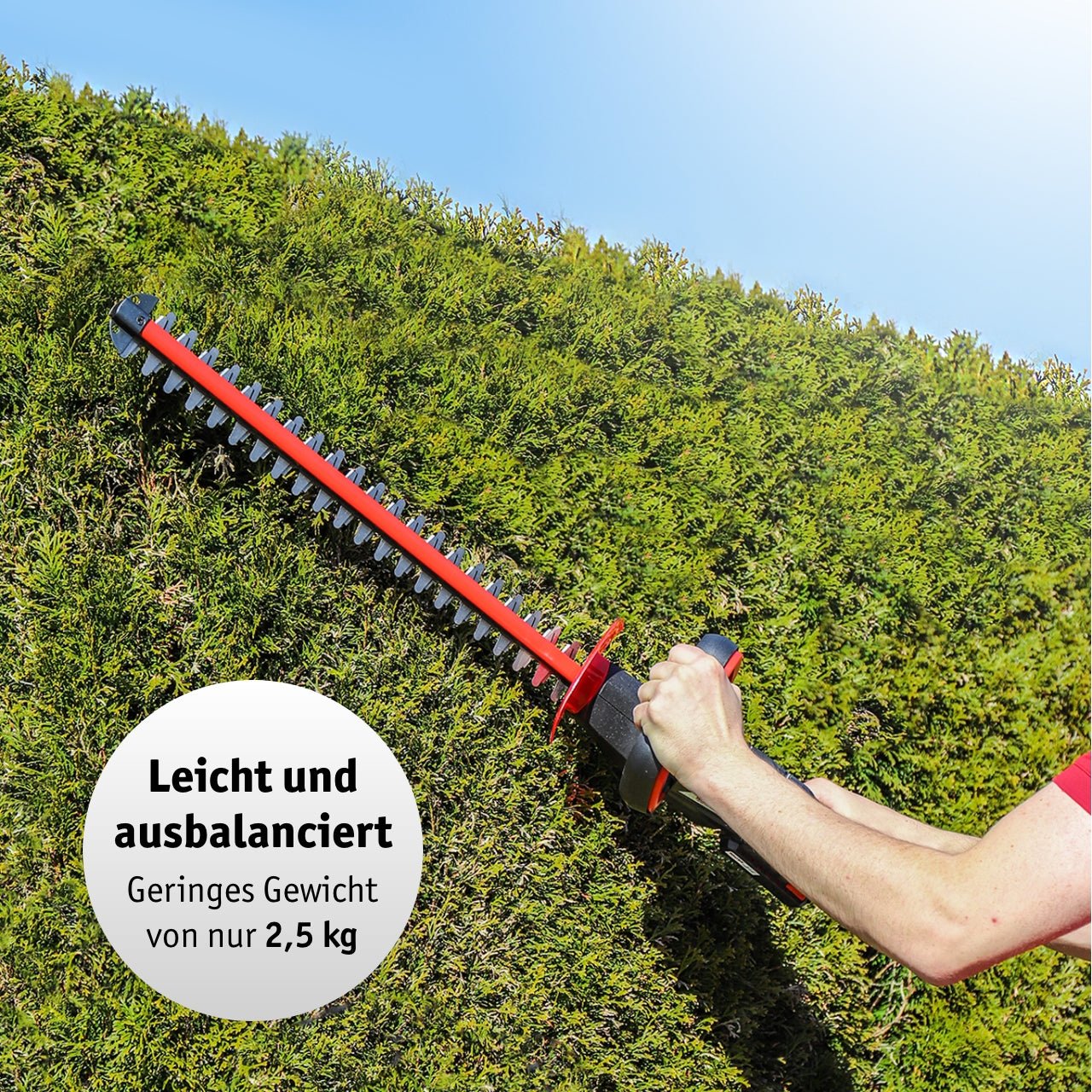 WALTER Akku-Heckenschere 20 V