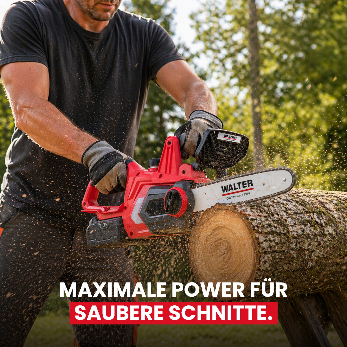 20V Cordless Chainsaw