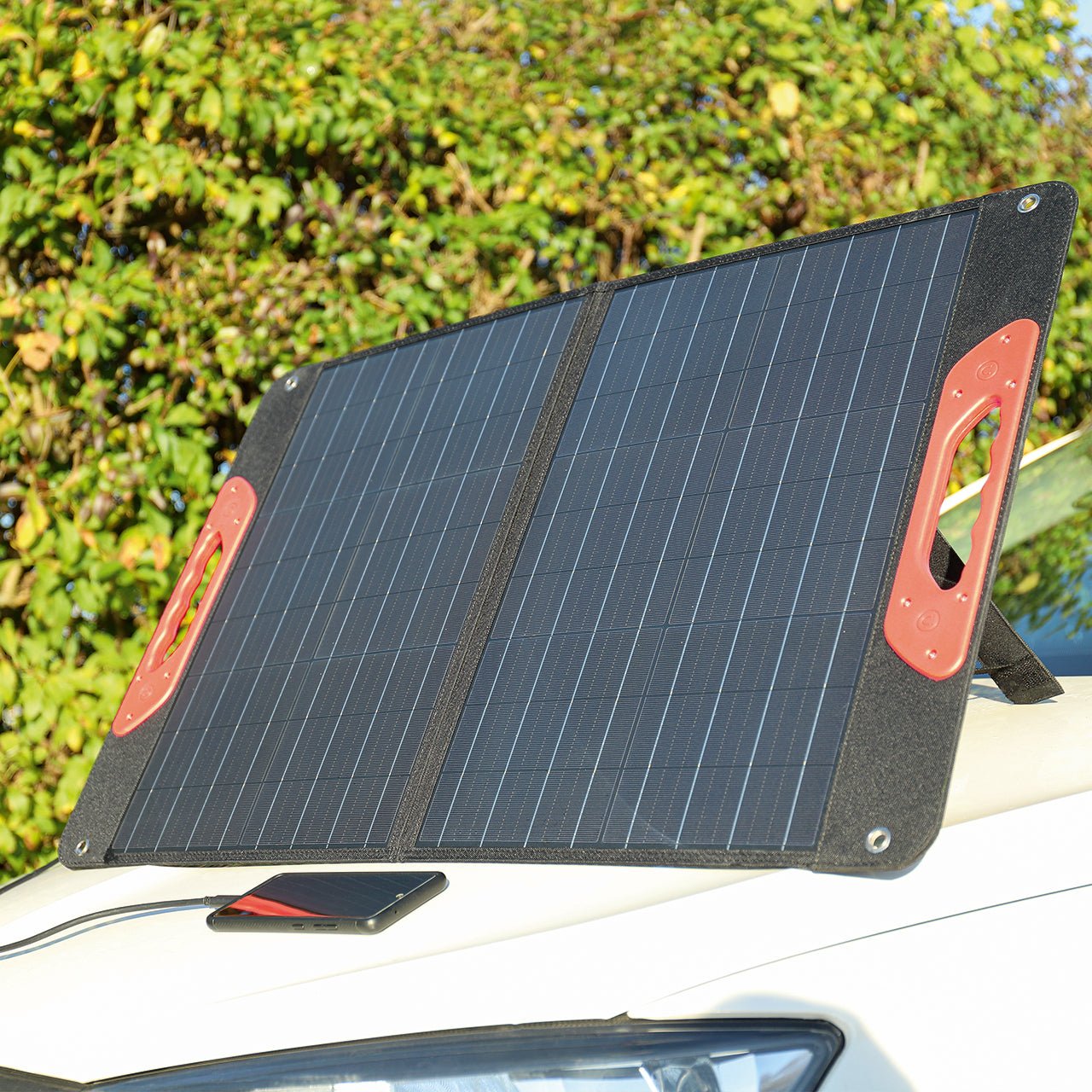 WALTER Solarpanel 60 W (faltbar)