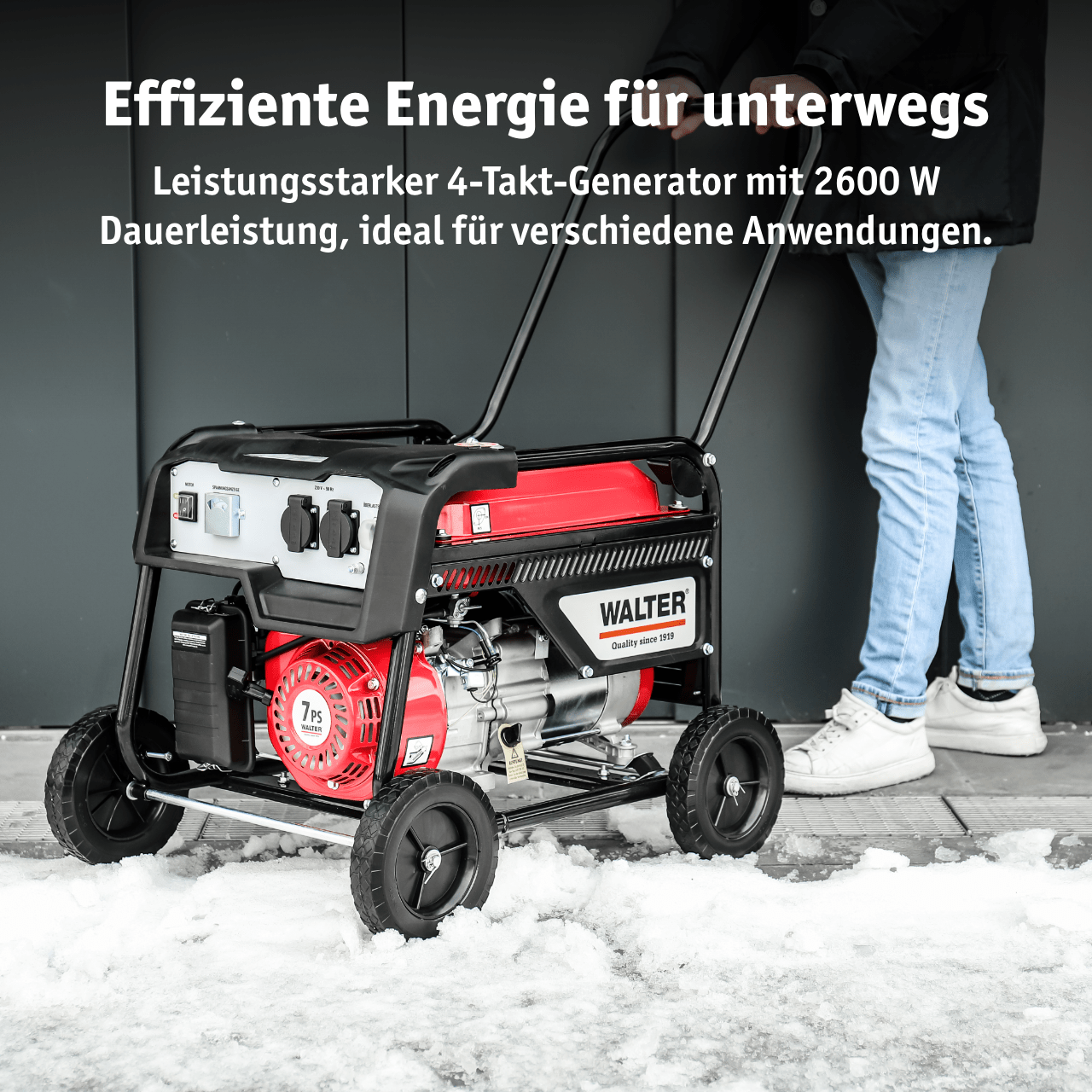 WALTER Stromerzeuger 2 600 W